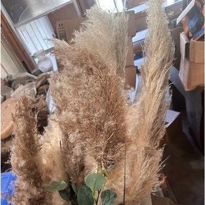 Pompous grass